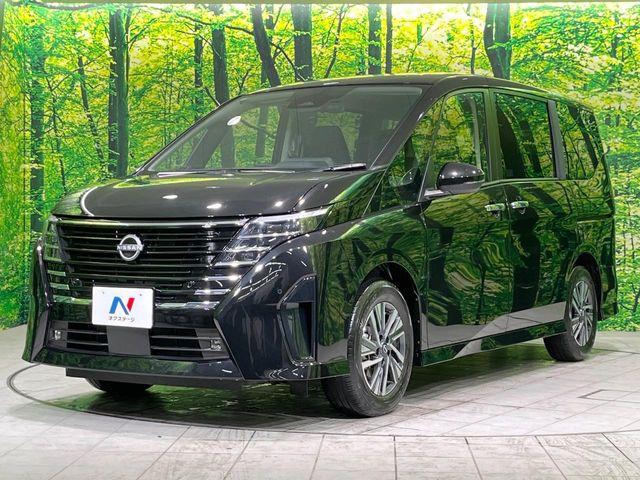 セレナ(新潟県長岡市)