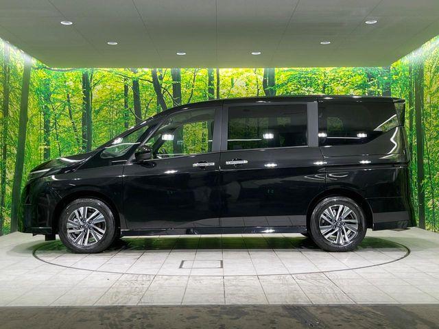 セレナ(新潟県長岡市)