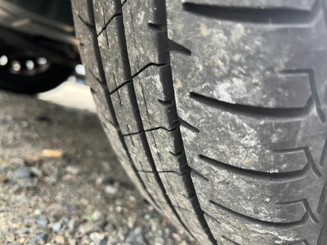 キャスト(新潟県新潟市西区)