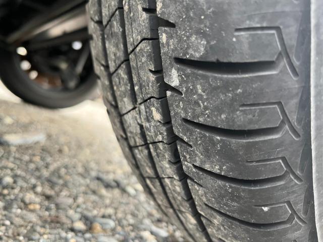 キャスト(新潟県新潟市西区)