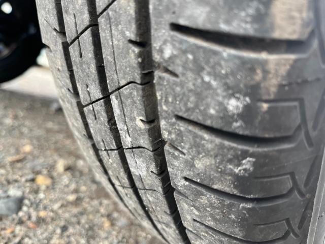 キャスト(新潟県新潟市西区)