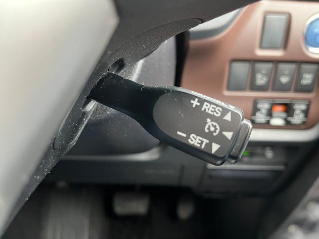 エスクァイア(新潟県新潟市西区)