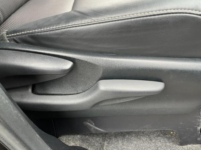 エスクァイア(新潟県新潟市西区)