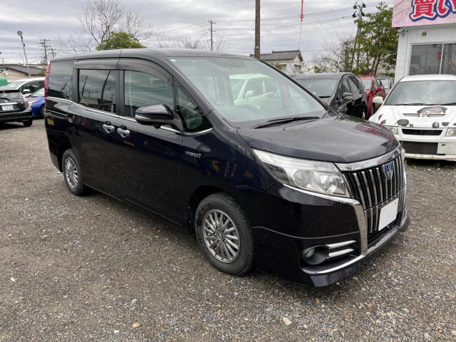 エスクァイア(新潟県新潟市西区)