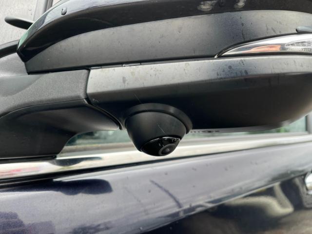 エスクァイア(新潟県新潟市西区)