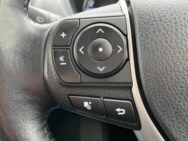 エスクァイア(新潟県新潟市西区)