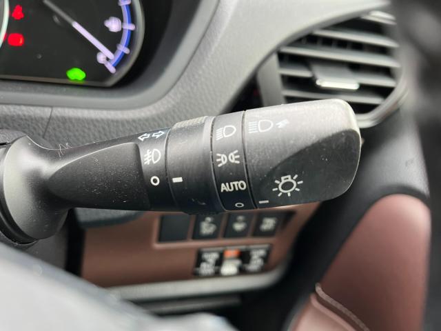 エスクァイア(新潟県新潟市西区)