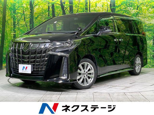 アルファード（新潟県長岡市）