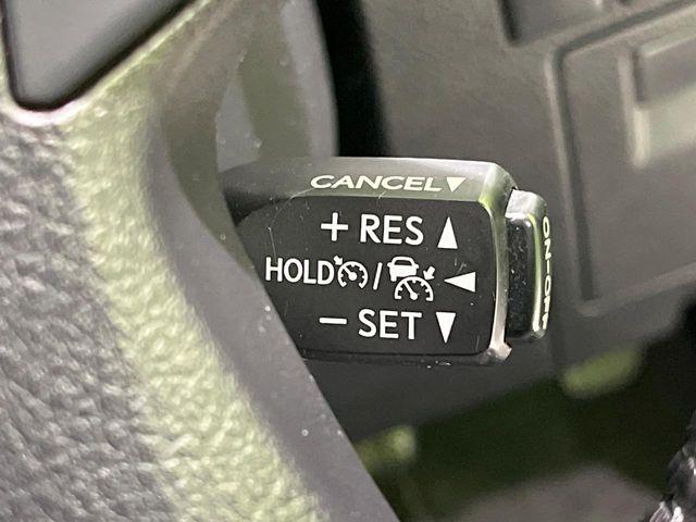 アルファード(新潟県長岡市)