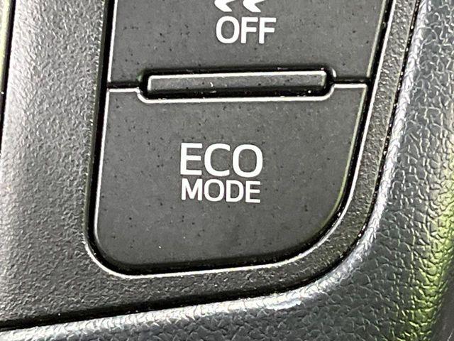 アルファード(新潟県長岡市)