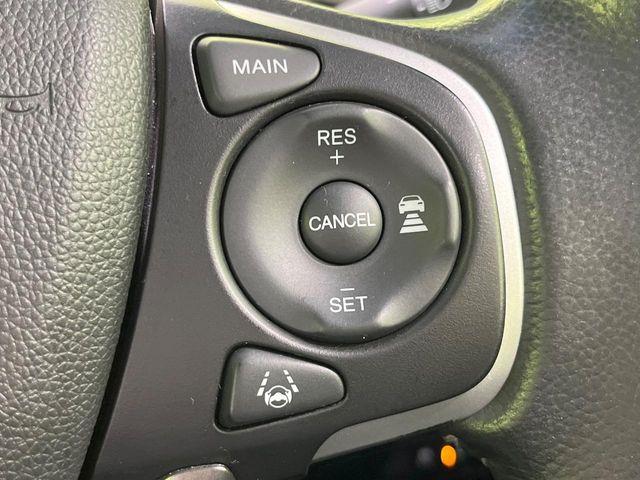 フリード（新潟県長岡市）