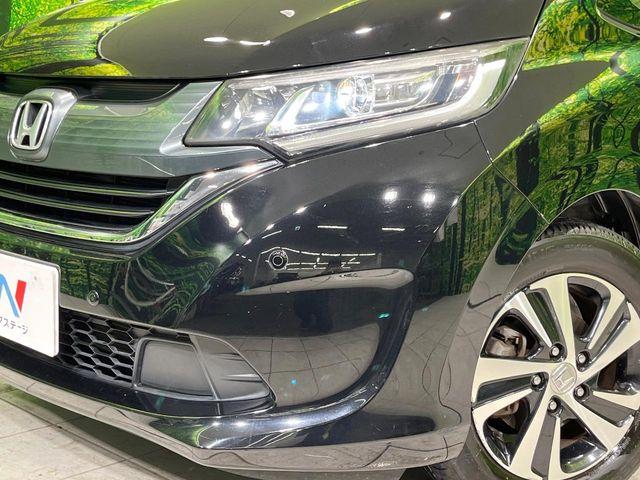 フリード（新潟県長岡市）