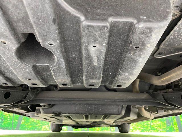 フリード（新潟県長岡市）