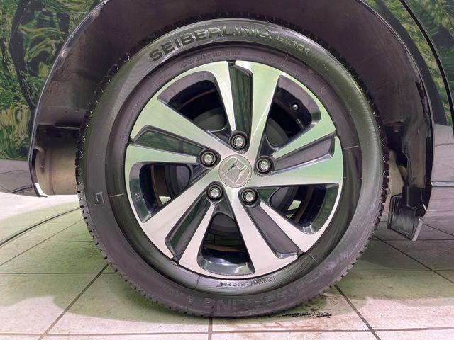 フリード（新潟県長岡市）