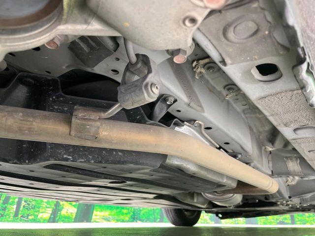 フリード（新潟県長岡市）