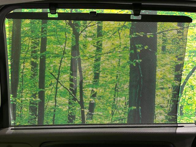 フリード（新潟県長岡市）