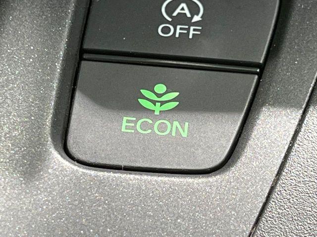 フリード（新潟県長岡市）