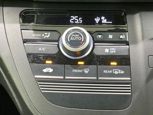 フリード（新潟県長岡市）