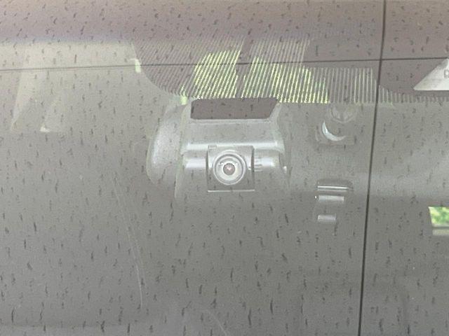 フリード（新潟県長岡市）