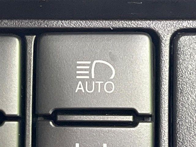 ヴォクシー(新潟県長岡市)