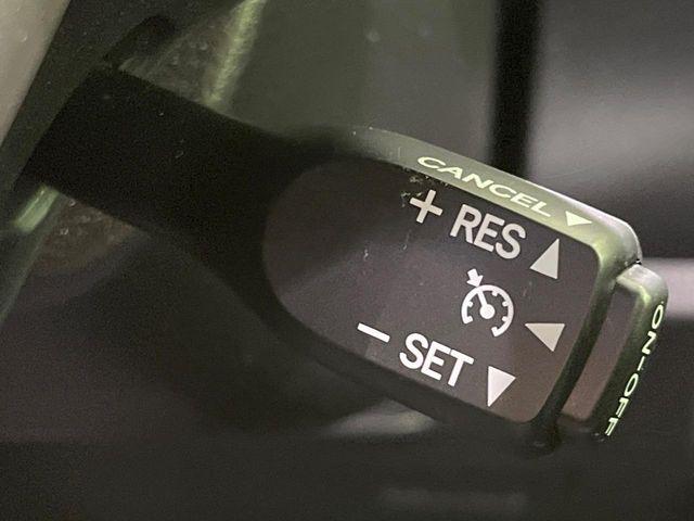 ヴォクシー(新潟県長岡市)