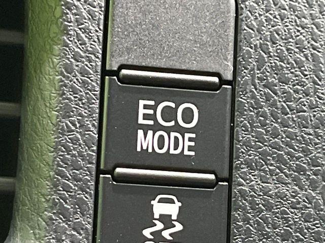 ヴォクシー(新潟県長岡市)