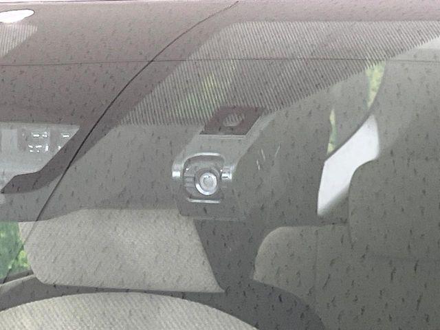 シエンタ(新潟県長岡市)