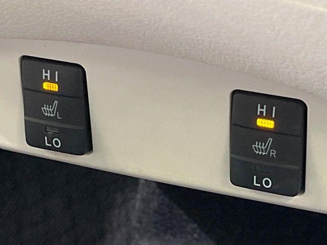 シエンタ(新潟県長岡市)