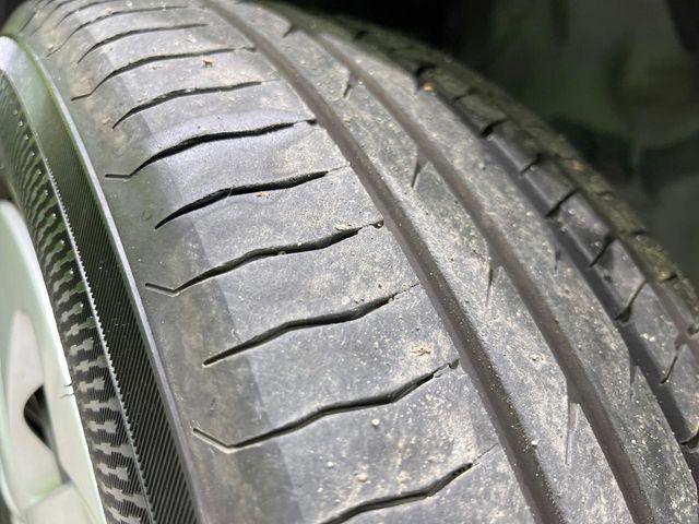 シエンタ(新潟県長岡市)