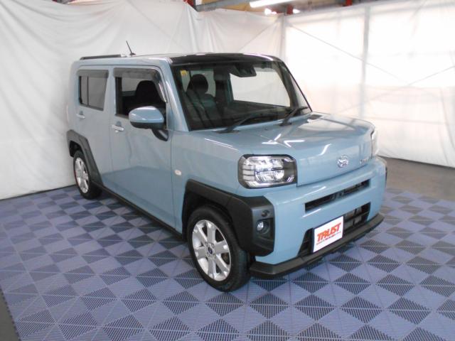 タフト（新潟県新潟市南区）画像5