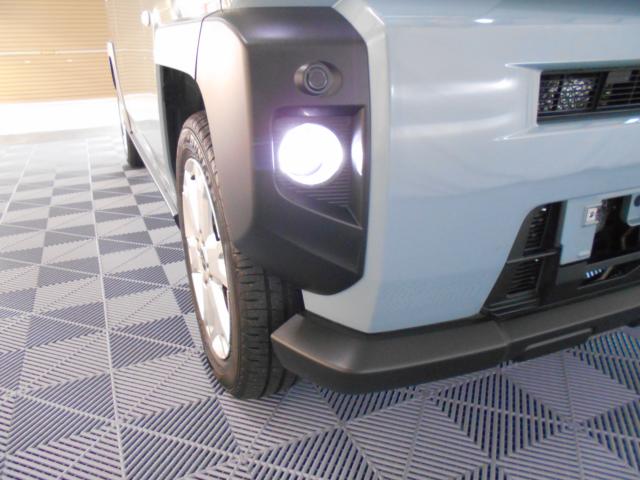 タフト（新潟県新潟市南区）画像46