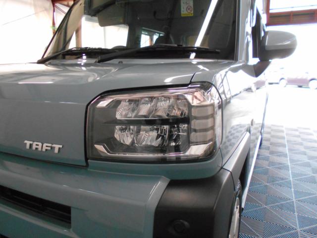 タフト（新潟県新潟市南区）画像47