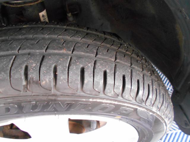 タフト（新潟県新潟市南区）画像63