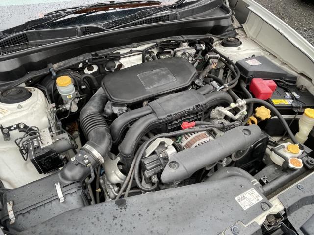 エクシーガ(新潟県新潟市東区)