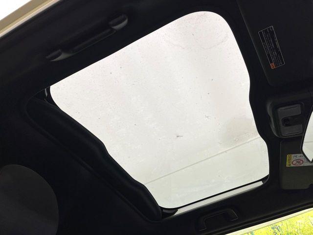 タフト（新潟県新潟市東区）