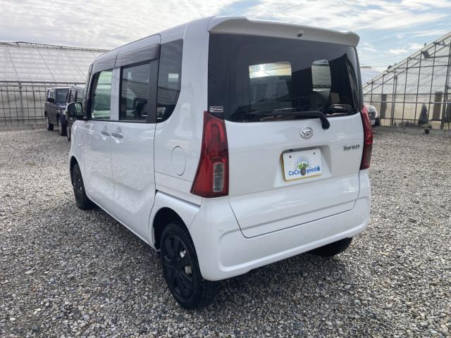 タント(新潟県新潟市江南区)