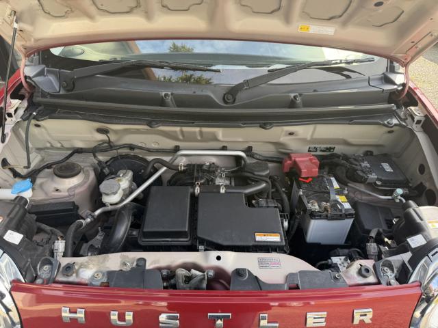 ハスラー(新潟県新潟市西区)