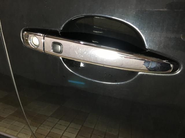 エスティマ(新潟県新潟市西区)