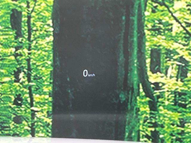 CX-5（新潟県長岡市）