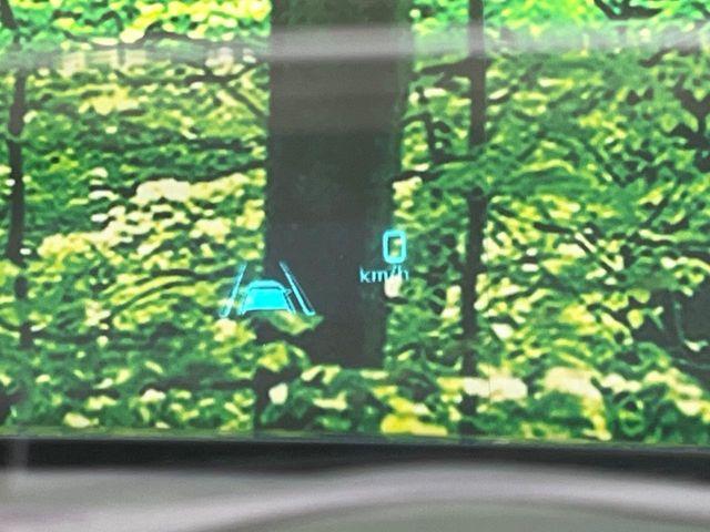 デミオ（新潟県長岡市）