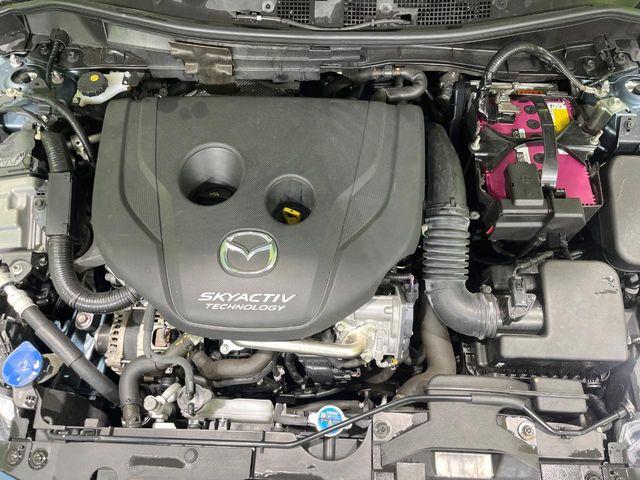 デミオ（新潟県長岡市）