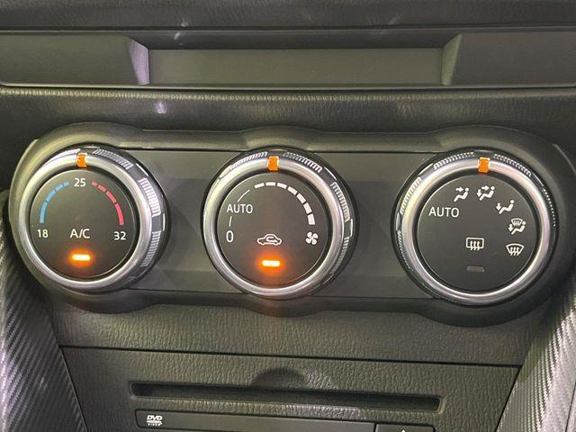 デミオ（新潟県長岡市）