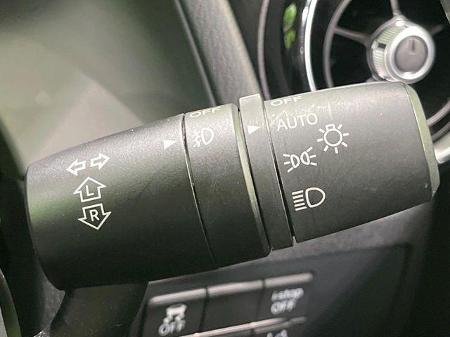 デミオ（新潟県長岡市）