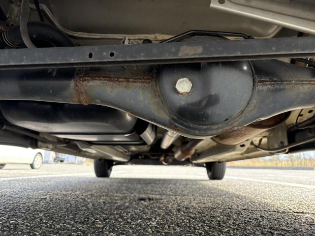 デイズ(新潟県新潟市西蒲区)