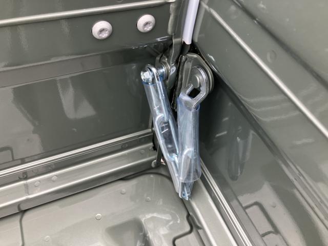 キャリイトラック(新潟県新潟市西蒲区)