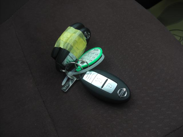 マーチ（新潟県新潟市江南区）画像20