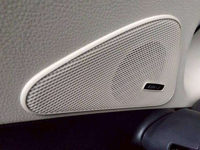 スカイラインクロスオーバー（新潟県十日町市）画像35