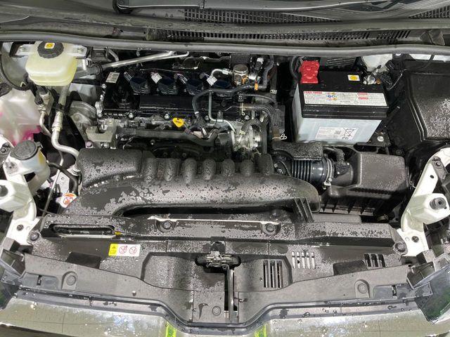 ノア（新潟県長岡市）