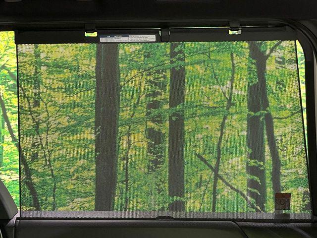 ノア（新潟県長岡市）