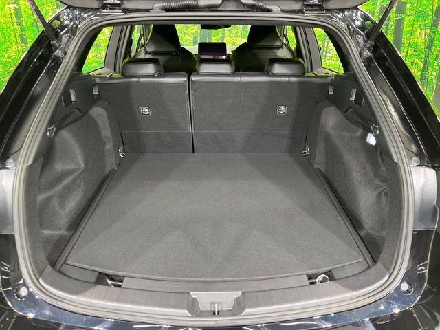 カローラツーリング（新潟県長岡市）画像10